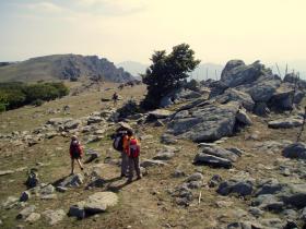 photo coins arrondis